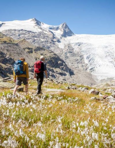 Venedigertour im Frühsommer