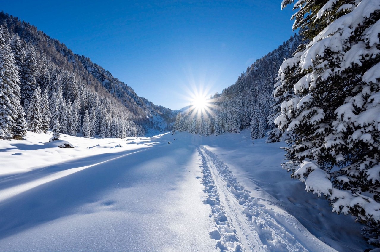 erfahren Sie den Osttiroler Märchenwinter 